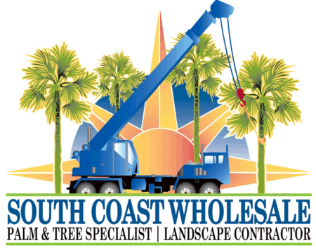 Visit the South Coast Wholesale Home Page
